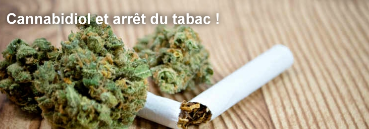 cbd cigarette